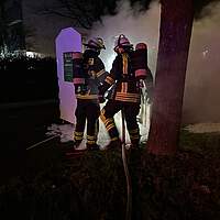 IMG_7833.jpg